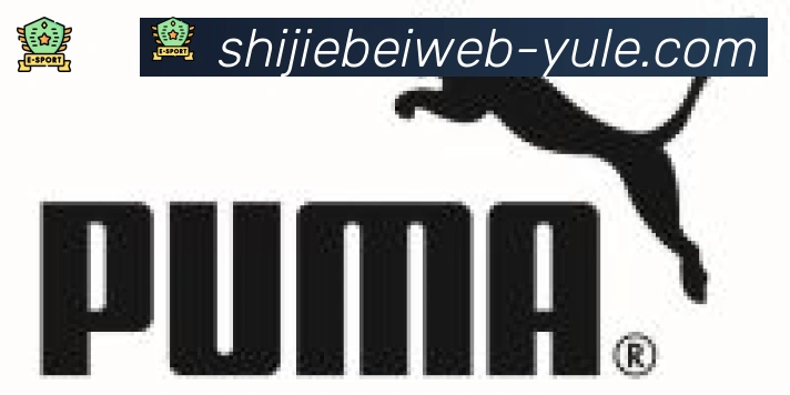 世界杯冠军竞猜官方网站合作伙伴